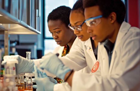 Three HBCU pharmacy students engaged in a lab experiment, working together with test tubes and beakers.